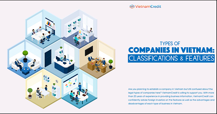 Types of companies in Vietnam: classifications and features